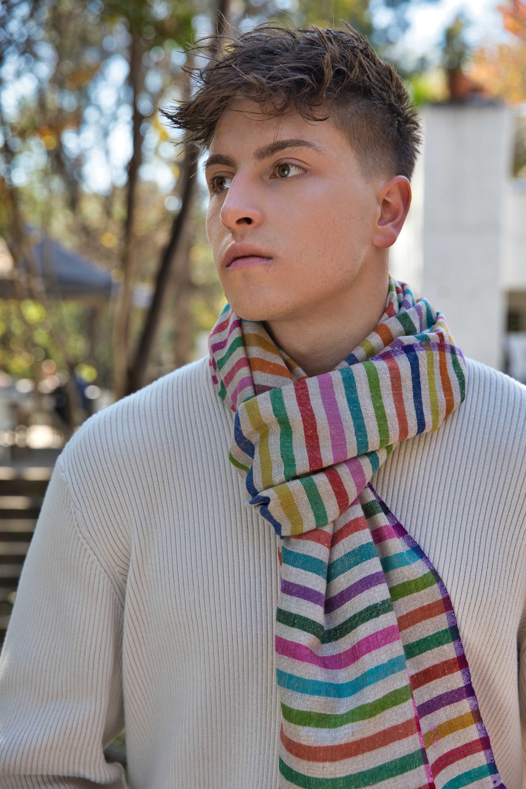 Pashmina Cashmere Striped Scarf - Image 5