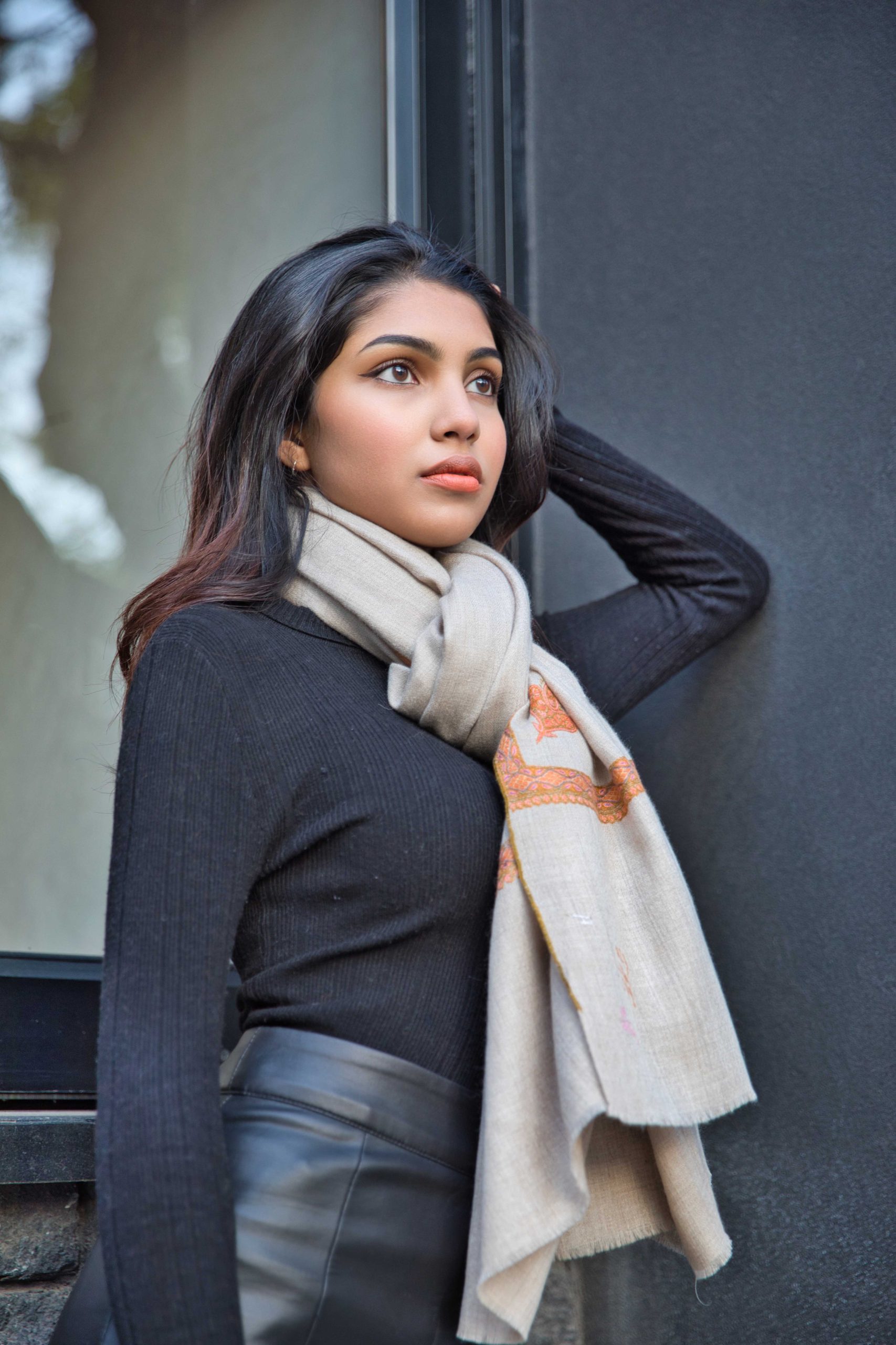 Sozni Embroidery Pashmina Cashmere Shawl - Image 3