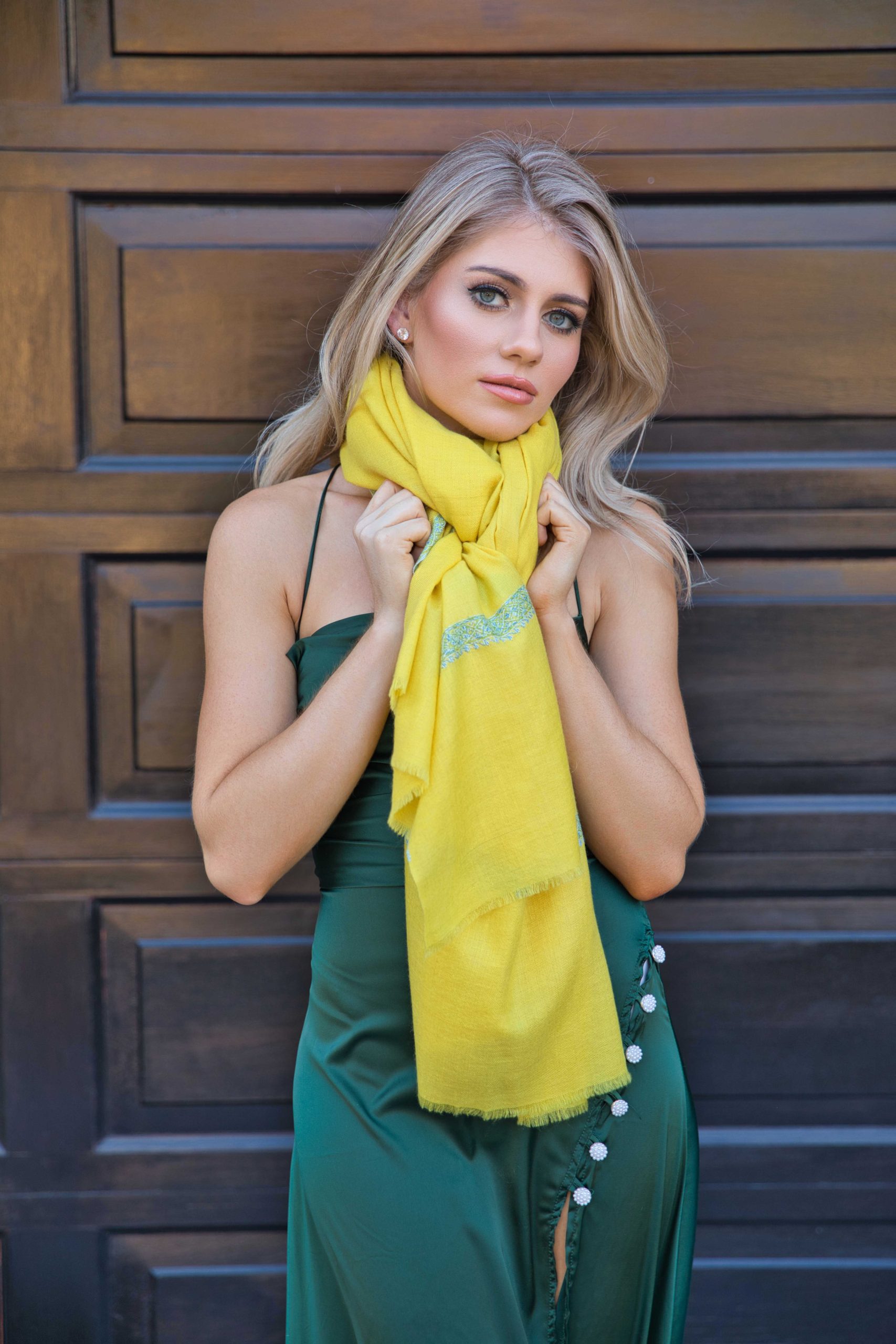 Sozni Embroidery Pashmina Cashmere Shawl - Image 5