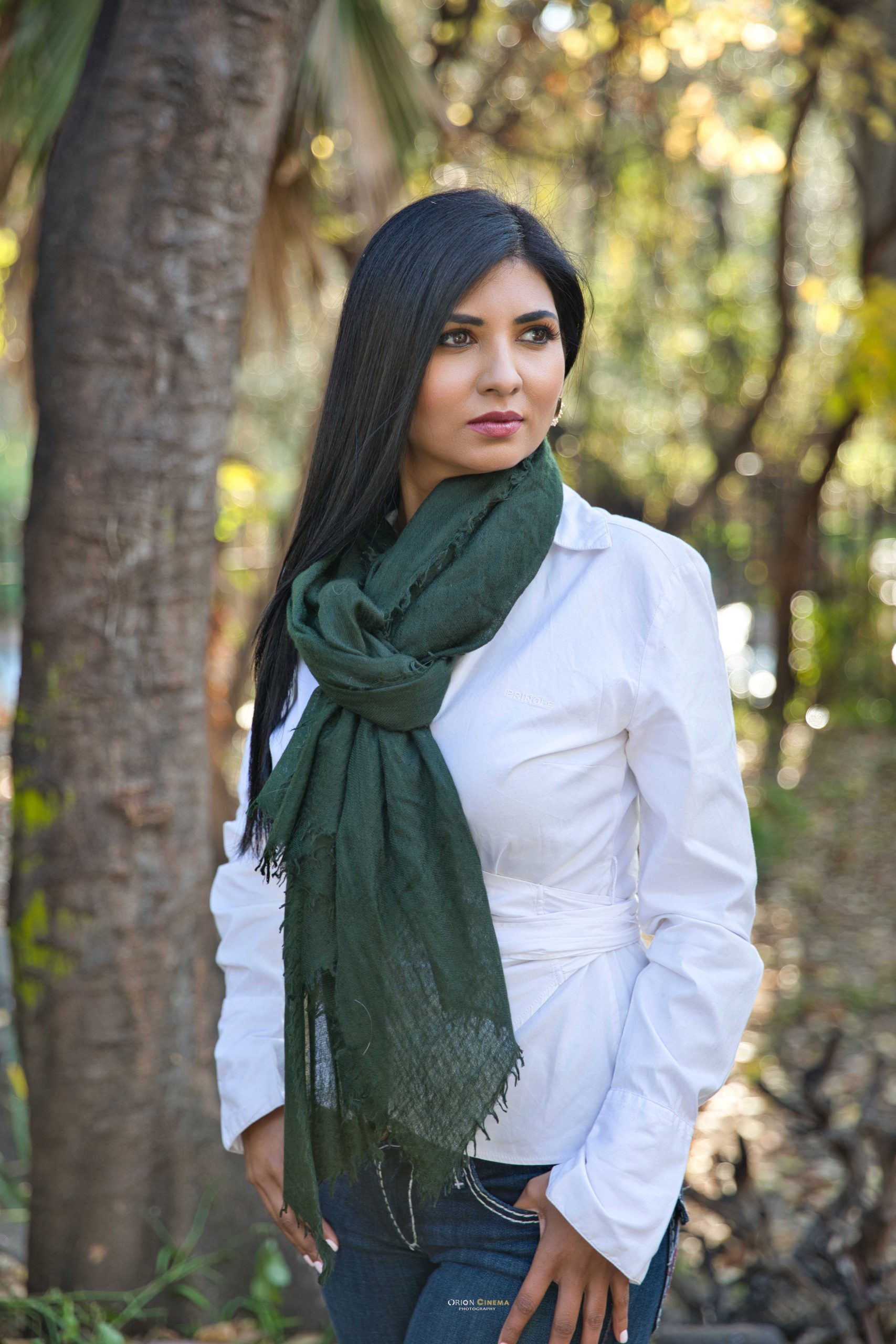 Pashmina Cashmere Souffle Shawl - Image 4