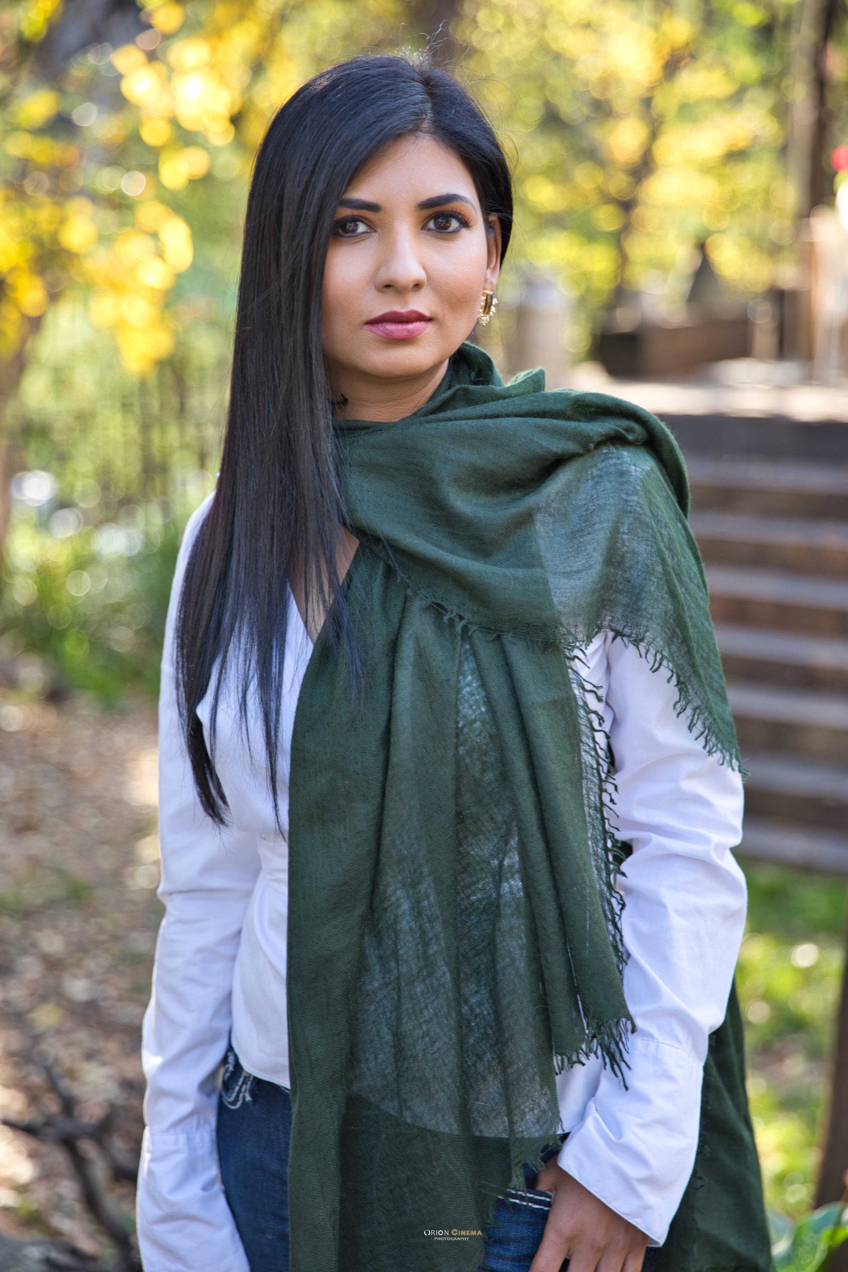Pashmina Cashmere Souffle Shawl - Image 2