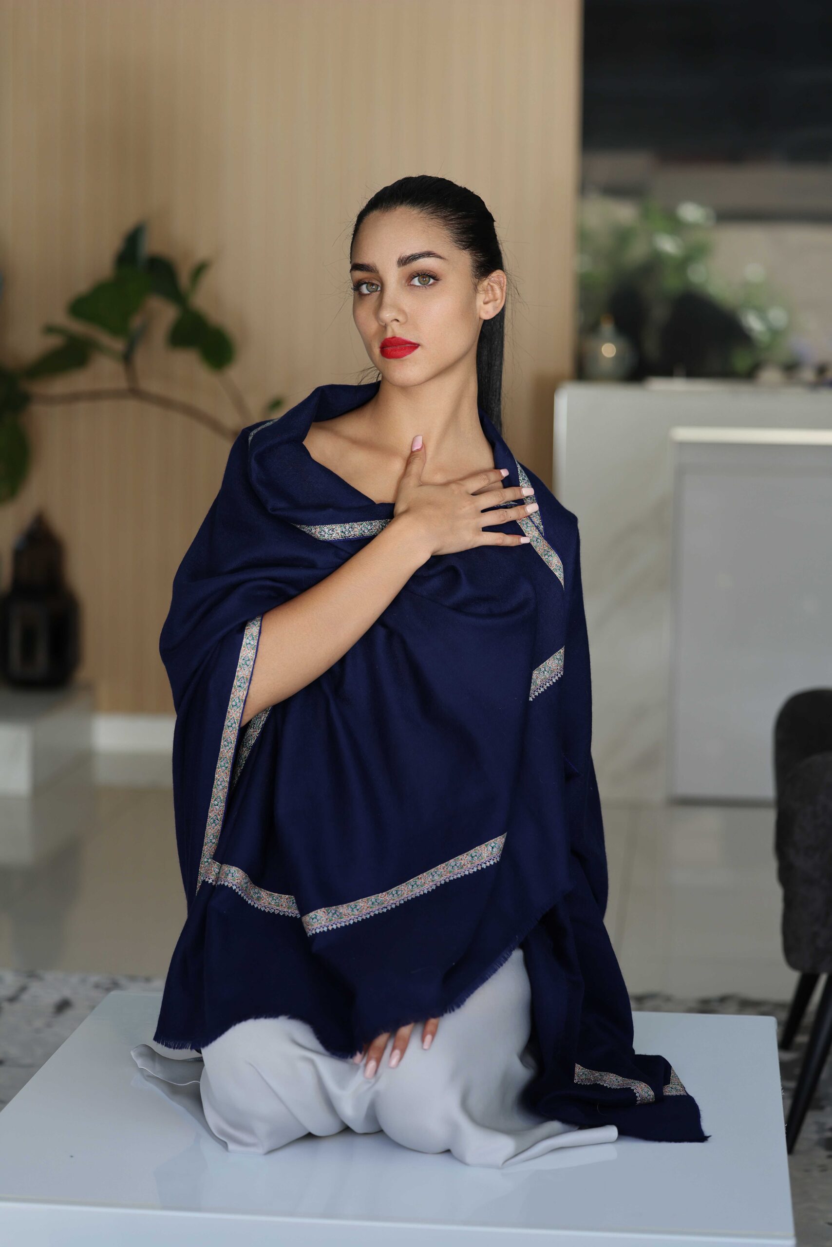 Sozni Embroidery Pashmina Cashmere Shawl - Image 2