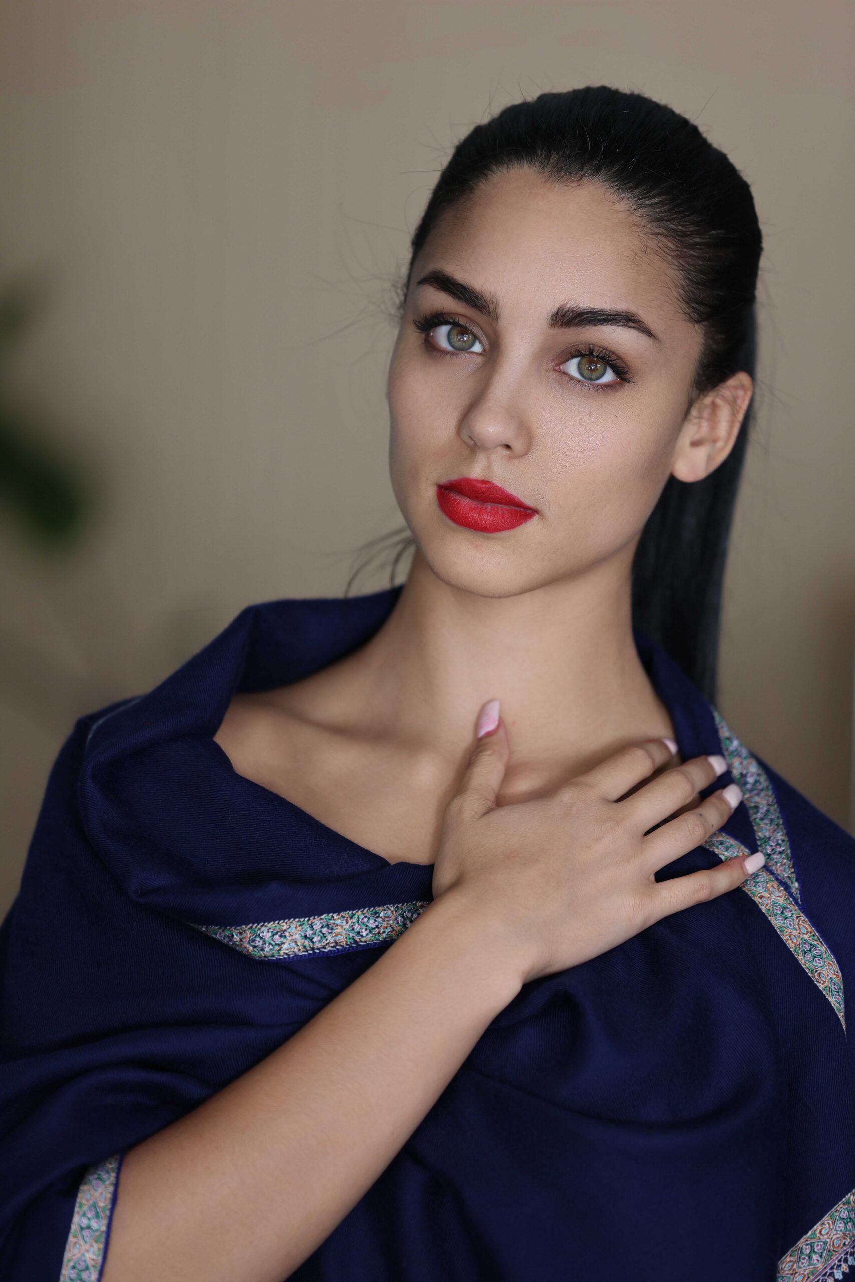 Sozni Embroidery Pashmina Cashmere Shawl - Image 6