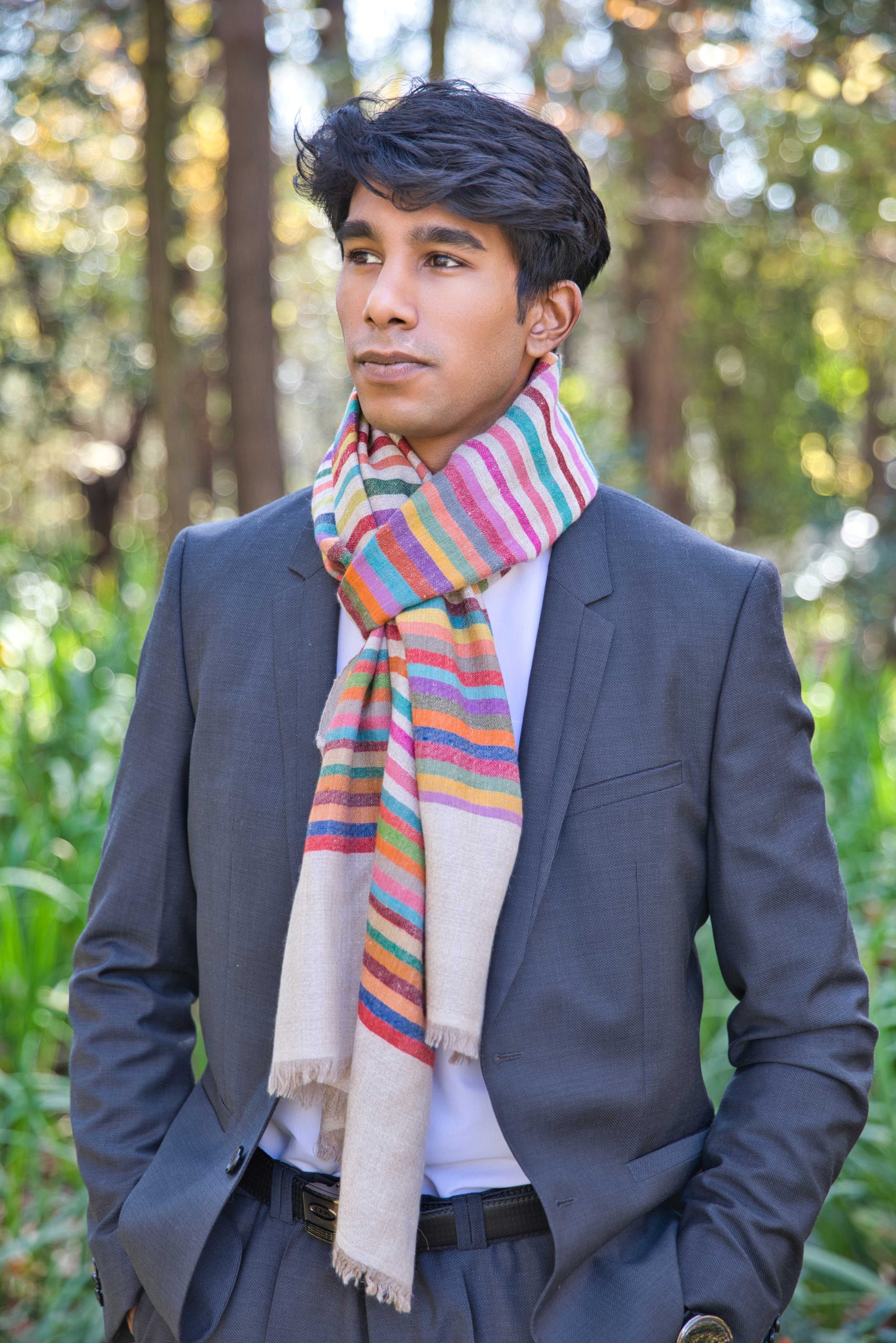 Pashmina Cashmere Striped Scarf - Image 4