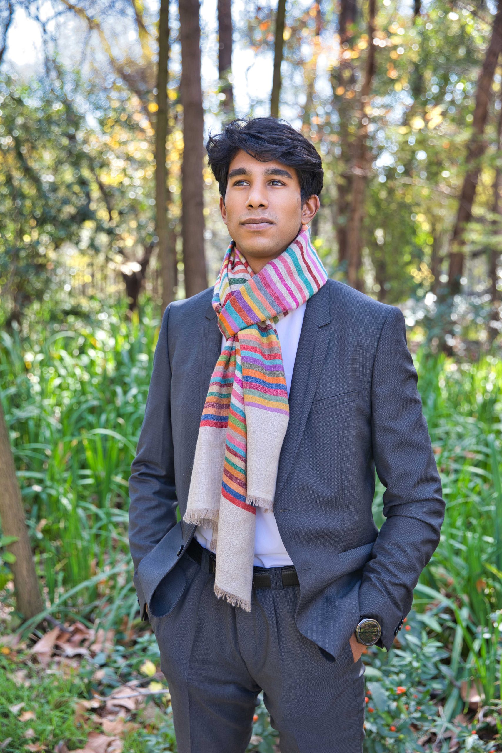 Pashmina Cashmere Striped Scarf - Image 2